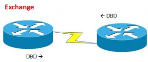 OSPF Exchange state