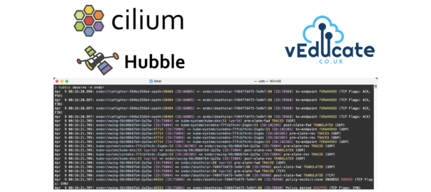 Cilium Hubble CLI - Header Image